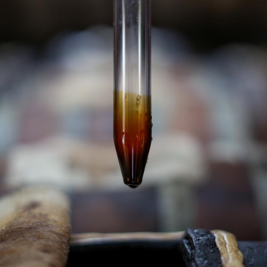 Le Dimore De Il Borgo Del Balsamico Albinea Eksteriør billede